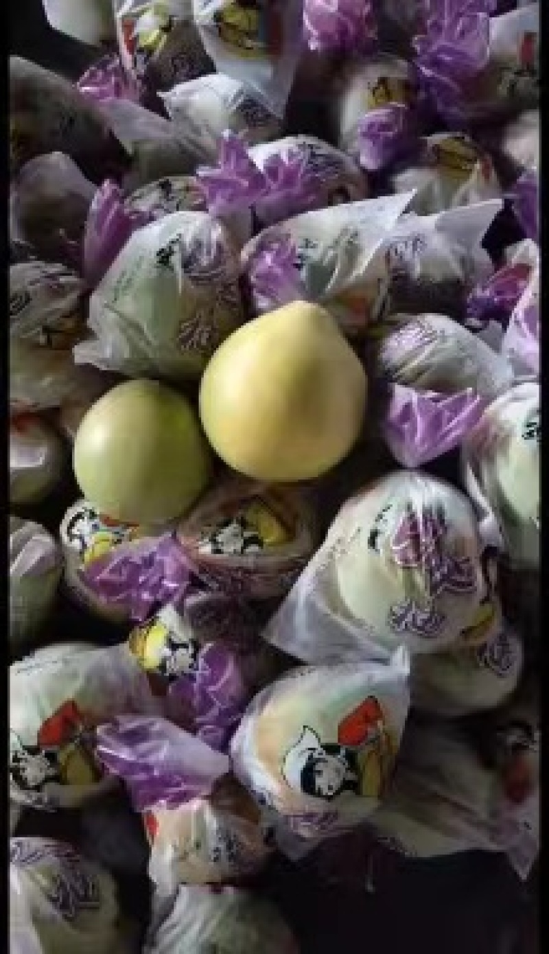 精品红心柚白心柚产地批发，大量上市，皮薄味甜，价格便宜。