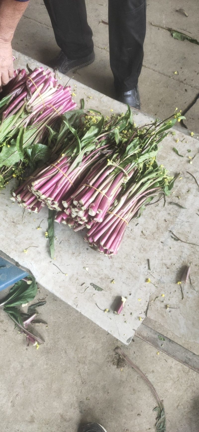 红菜苔，湖北优质精品红菜苔量大价格优惠大量上市