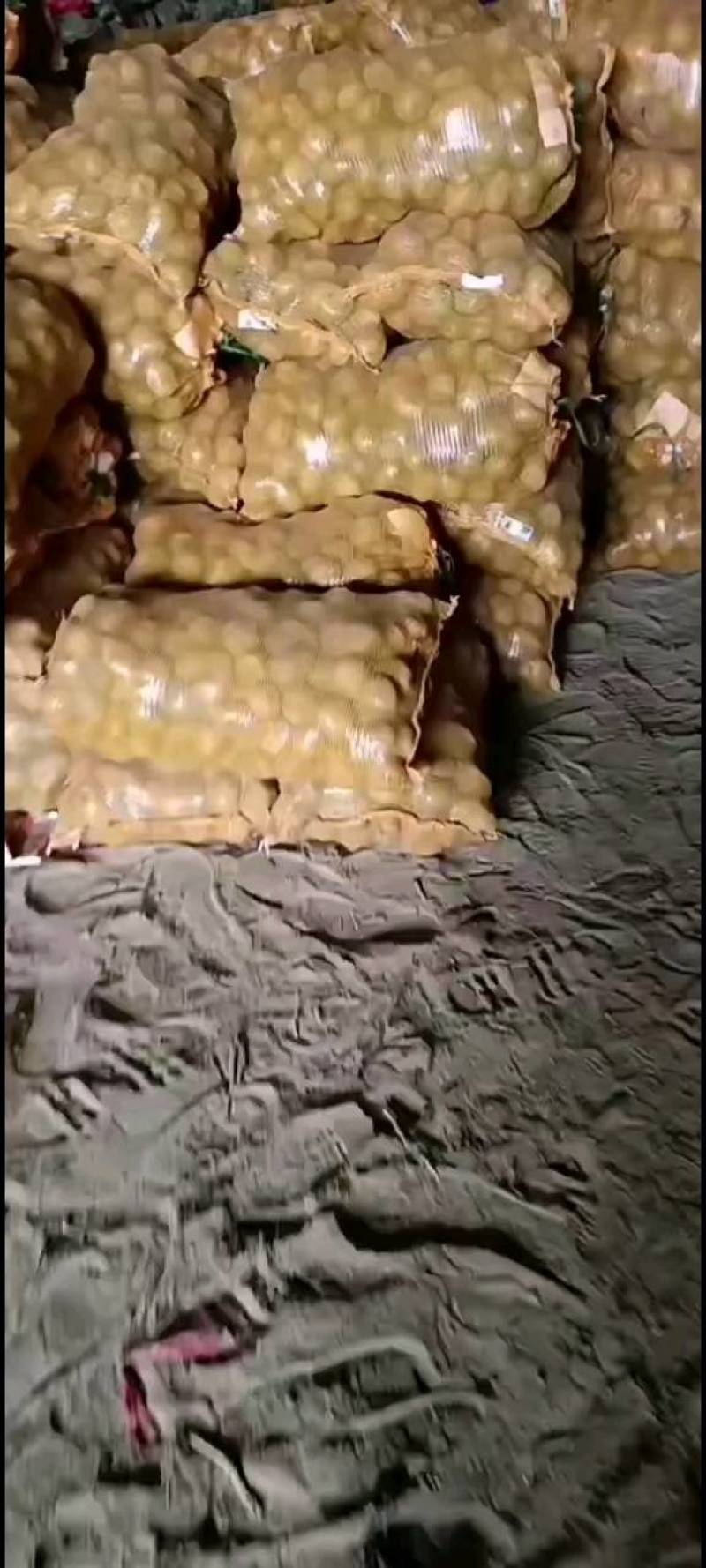 二十大会结束了，为民业精神，大量发展农业，土豆种子，黄心