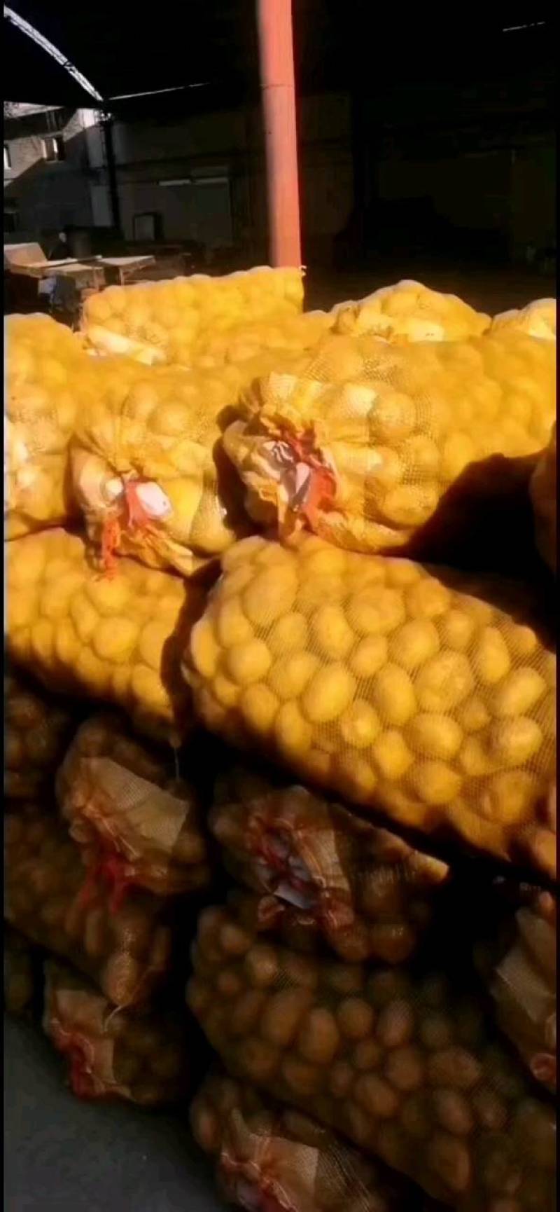 二十大会结束了，为民业精神，大量发展农业，土豆种子，黄心