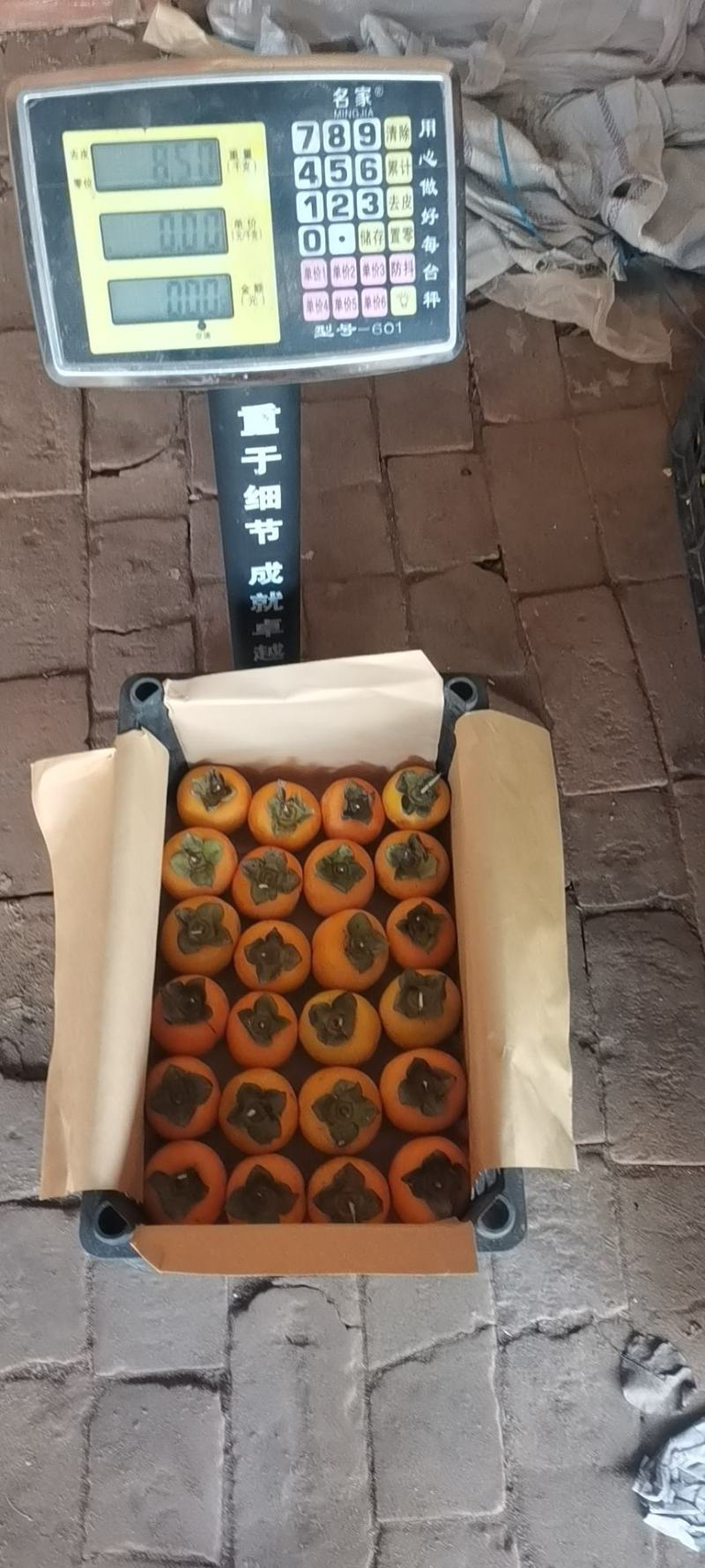 大红袍柿子