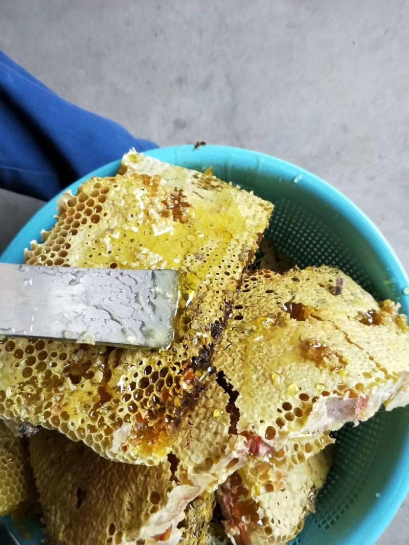 农家土蜂蜜自产自销蜂蜜