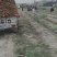 西华县精品红萝卜大量批发。已上市小燕顶红萝卜。