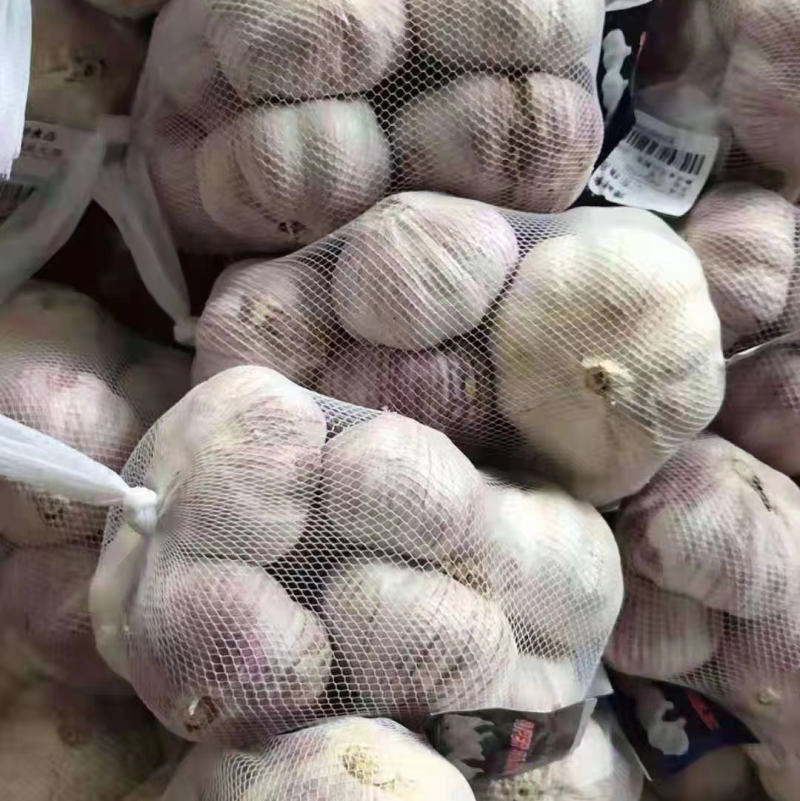 金乡大蒜紫皮大蒜一手货源，常年代收代存，按需包装