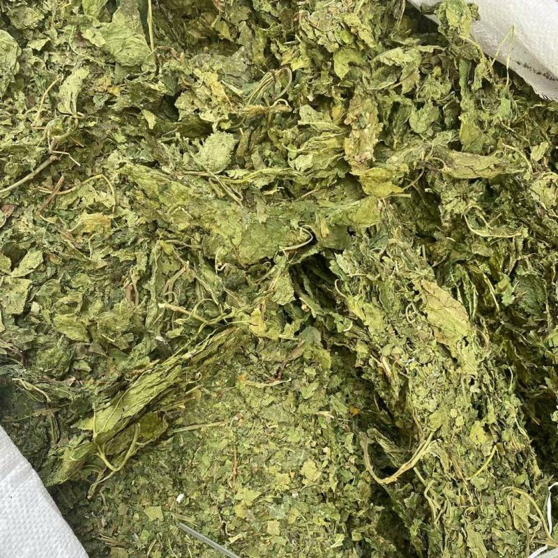 桑叶干货霜桑叶中药材量大从优欢迎选购！