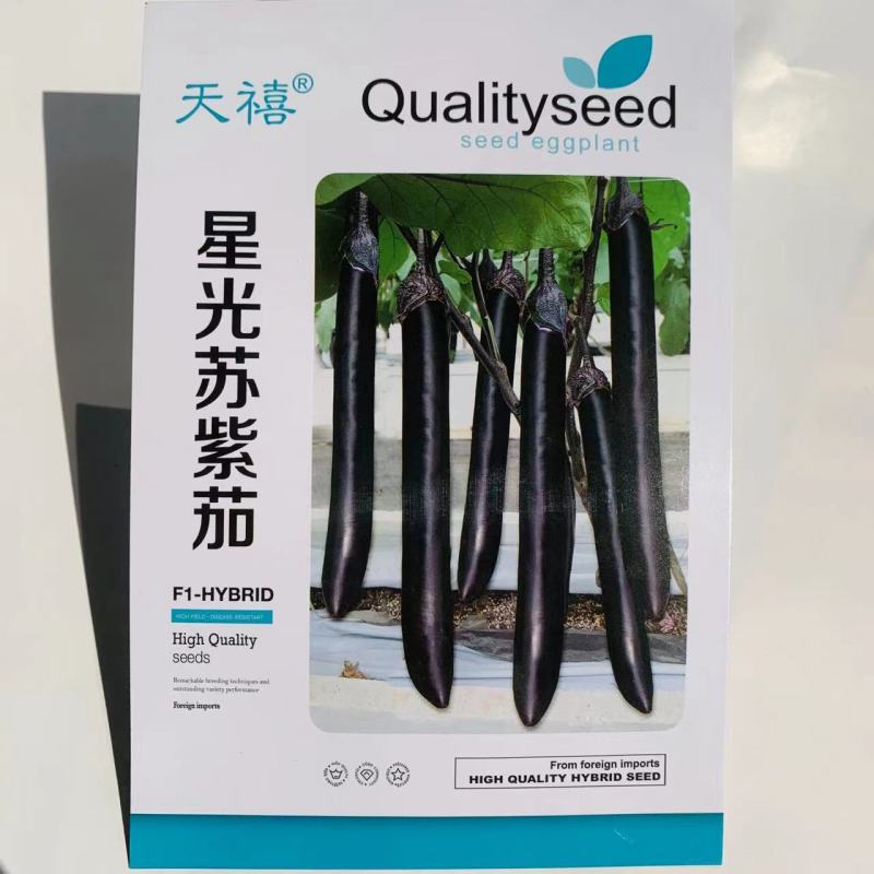 星光苏紫茄种子长棒形茄子种子果皮黑紫色长茄种子耐低温