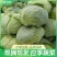 湖北优质甘蓝大量上市规格齐全价格实惠全国代发