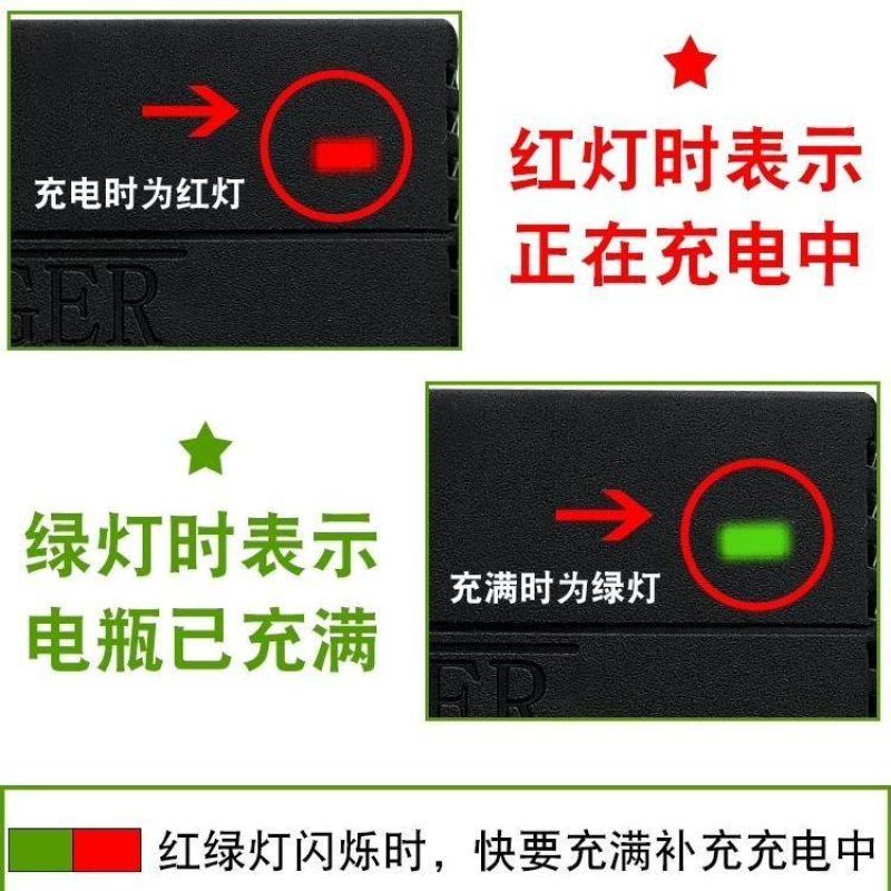 摩托车电瓶充电器12v通用型铅酸蓄电池踏板摩托车12伏智