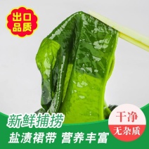 裙带菜特级一箱5斤即食儿童脂肪裙带菜盐渍新鲜嫩芽