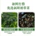 裙带菜特级一箱5斤即食儿童脂肪裙带菜盐渍新鲜嫩芽