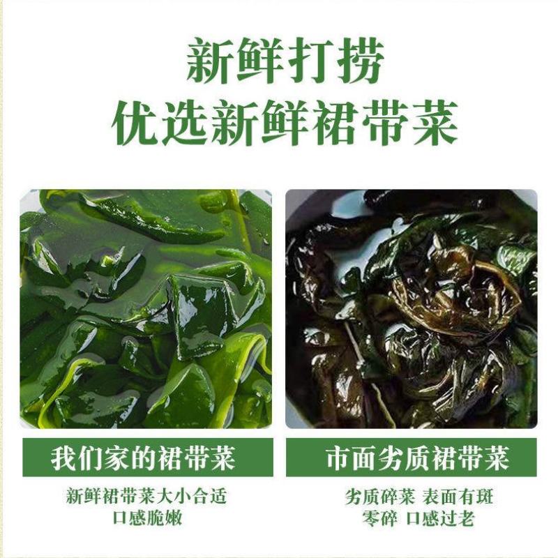 裙带菜特级一箱5斤即食儿童脂肪裙带菜盐渍新鲜嫩芽