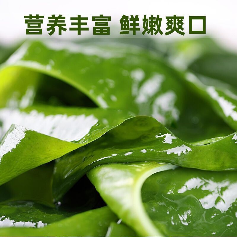 裙带菜特级一箱5斤即食儿童脂肪裙带菜盐渍新鲜嫩芽
