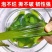 裙带菜特级一箱5斤即食儿童脂肪裙带菜盐渍新鲜嫩芽