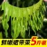 裙带菜特级一箱5斤即食儿童脂肪裙带菜盐渍新鲜嫩芽