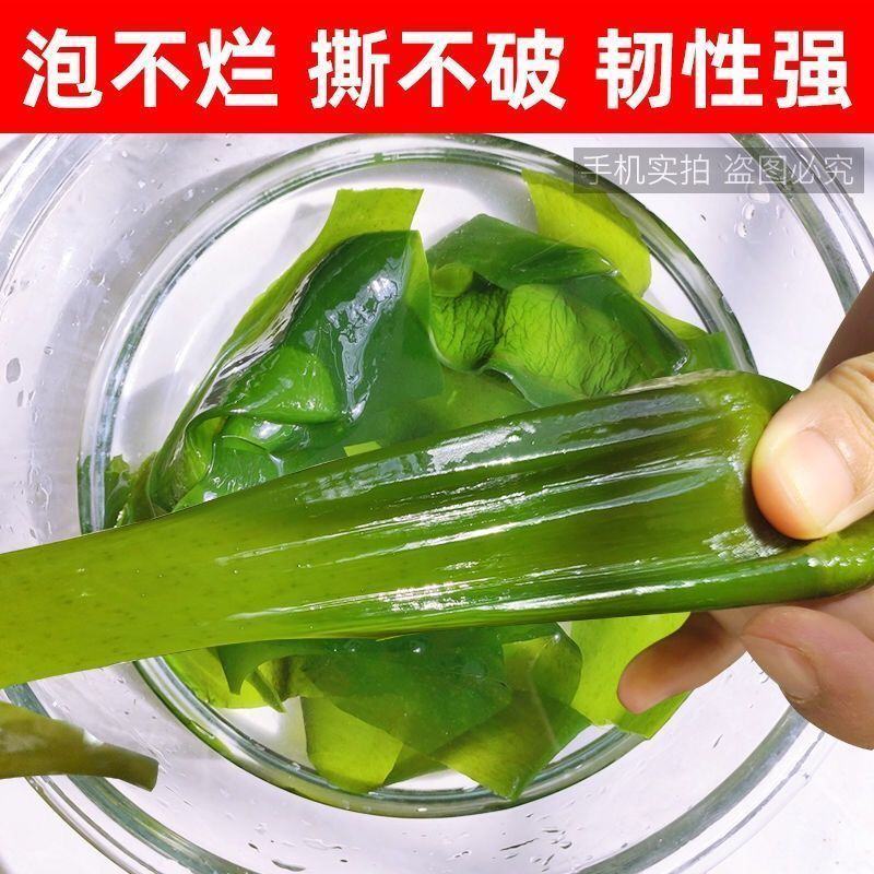 裙带菜特级一箱5斤即食儿童脂肪裙带菜盐渍新鲜嫩芽