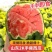 【代发全国】山东潍坊昌乐精品全美2k西瓜大量供应货源充足