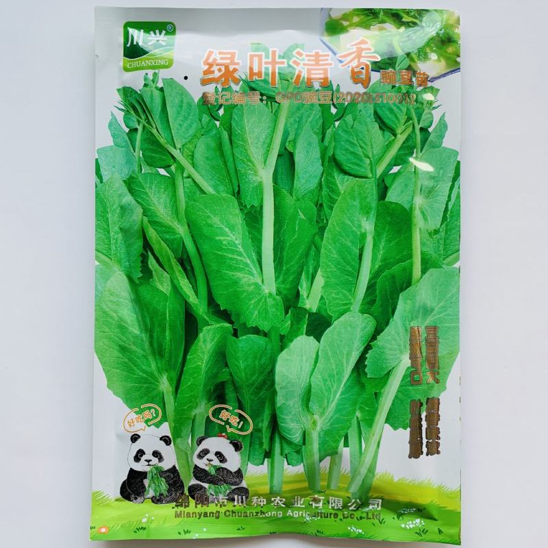 豌豆高产荷兰豆生吃甜脆豌豆种子菜麦豆玉佛籽豌豆种子