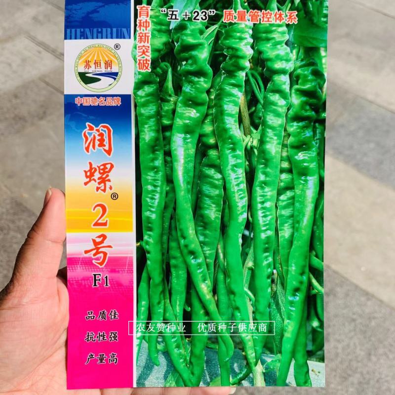粗长螺丝线椒种子挂果多，味香辣早熟杂交一代润螺2号辣椒