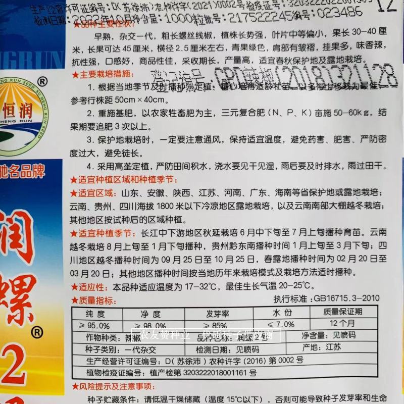 粗长螺丝线椒种子挂果多，味香辣早熟杂交一代润螺2号辣椒