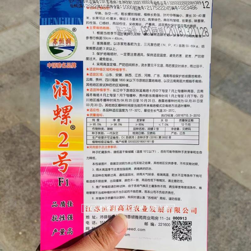 粗长螺丝线椒种子挂果多，味香辣早熟杂交一代润螺2号辣椒