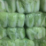 湖北当阳千亩黄心大白菜大量上市量大从优，质欢迎选购