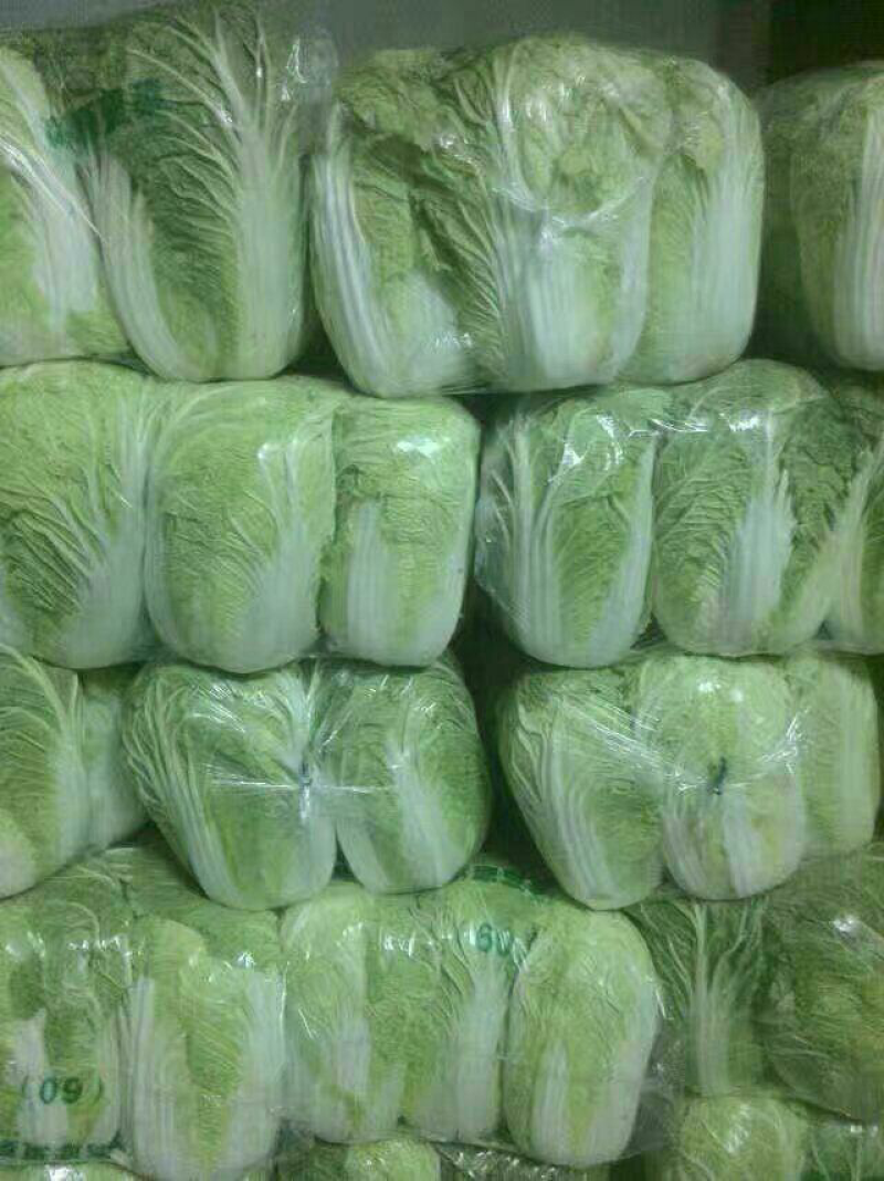 湖北当阳千亩黄心大白菜大量上市量大从优，质欢迎选购