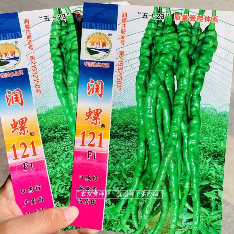 皮薄质脆香辣长果螺丝线椒种子润螺121辣椒种子口感佳