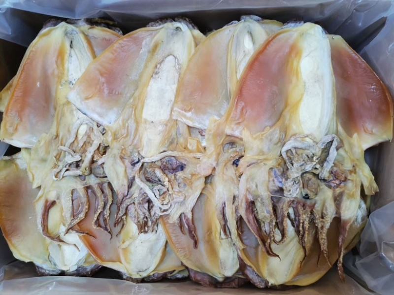 墨鱼干特大号一斤超大号