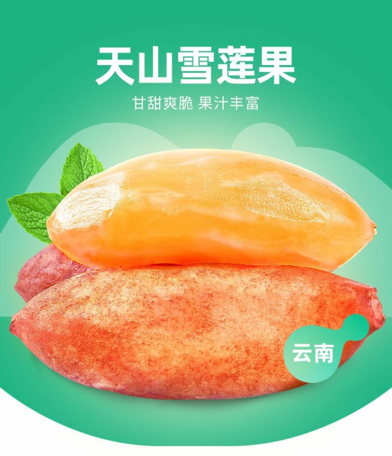 云南天山雪连果当季孕妇新鲜水果黄心红心整箱批发雪连果