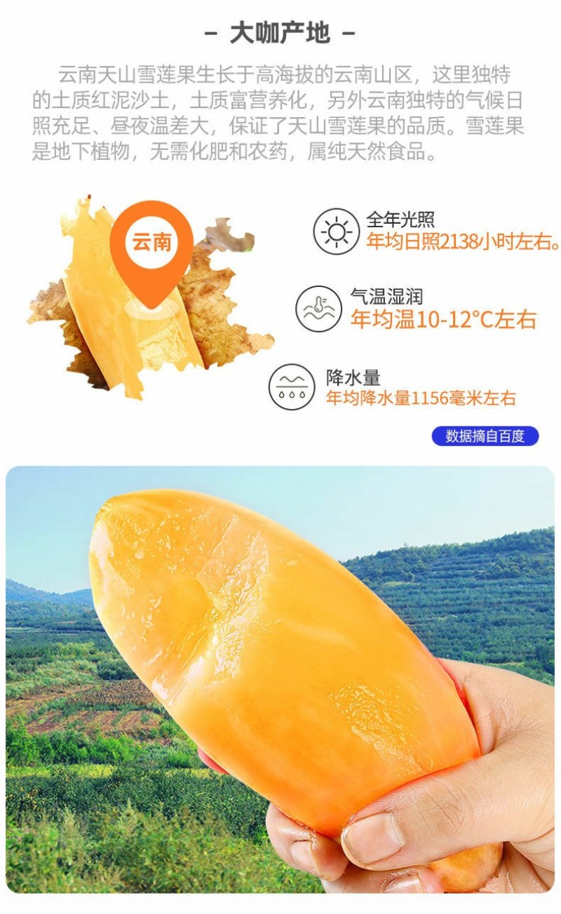 云南天山雪连果当季孕妇新鲜水果黄心红心整箱批发雪连果