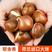 郁金香荷兰进口种球品种丰富多彩多姿颜色丰富多彩质量保障