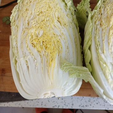 大黄心，白菜