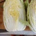 大黄心，白菜