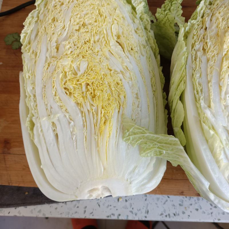 大黄心，白菜