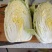 大黄心，白菜