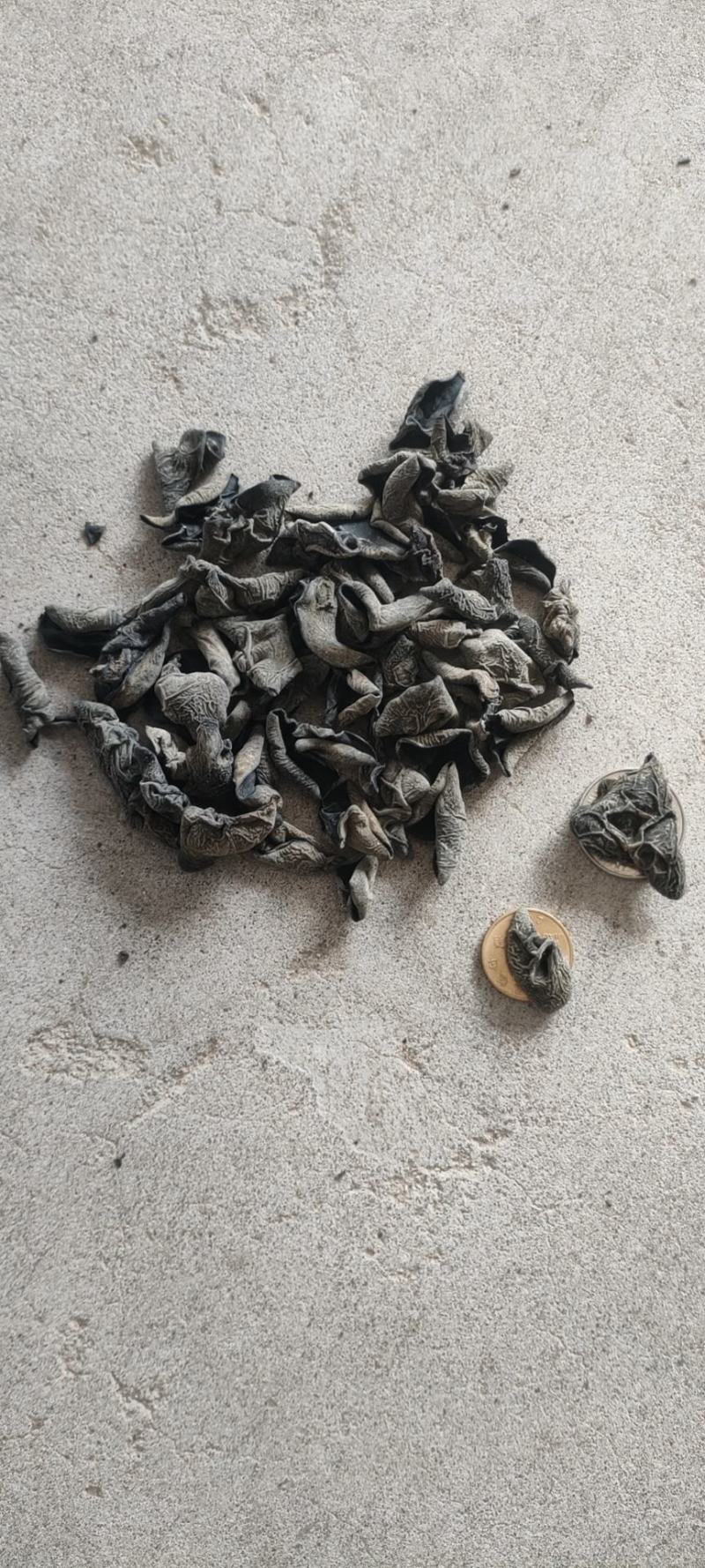 黑木耳，精品秋耳黑厚无根对接商超批发市场供货量大从优！