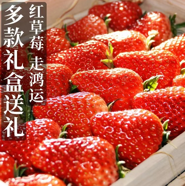 [草莓批发]四川凉山德昌县草莓 6.00元/斤四川凉山德昌草莓黔 _ 一亩田