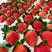四川凉山德昌草莓黔莓供应市场团批整发电商代发现货红颜