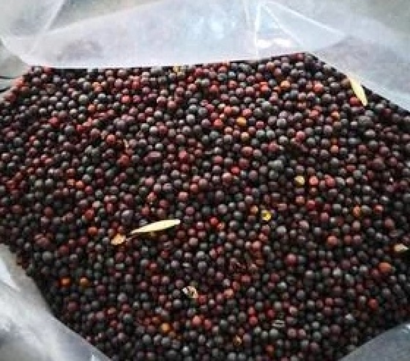 油菜籽，精品货源，品质保证，40个油以上，欢迎采购