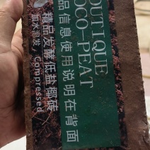 网红椰砖营养土脱盐种植椰壳通用型养花种菜650克大块
