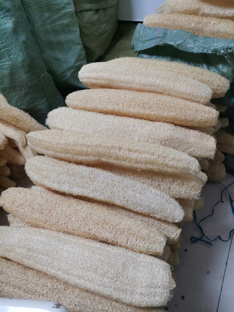 丝瓜络水瓜丝瓜瓢洗碗神器笨瓜菜丝瓜老丝瓜瓤