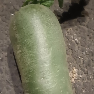 水果萝卜