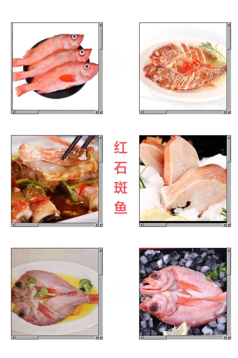 红石斑鱼（蒜瓣肉质，色泽明艳）