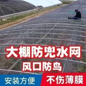 包邮2公分孔大棚风口防鸟网防兜水网防雨网防风网
