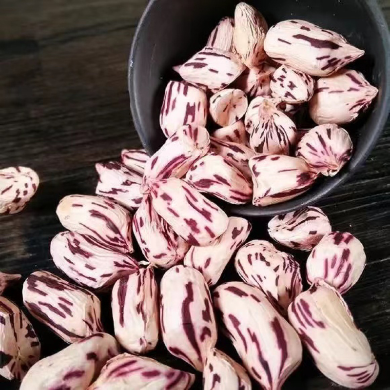 云南普洱特产新鲜晒干原味生的七彩花生米！