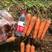 【精品】三红胡萝卜水洗货，土货，万亩基地电商货市场货