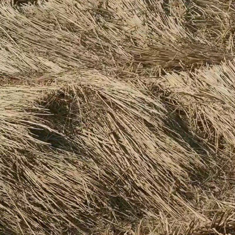 精品稻草