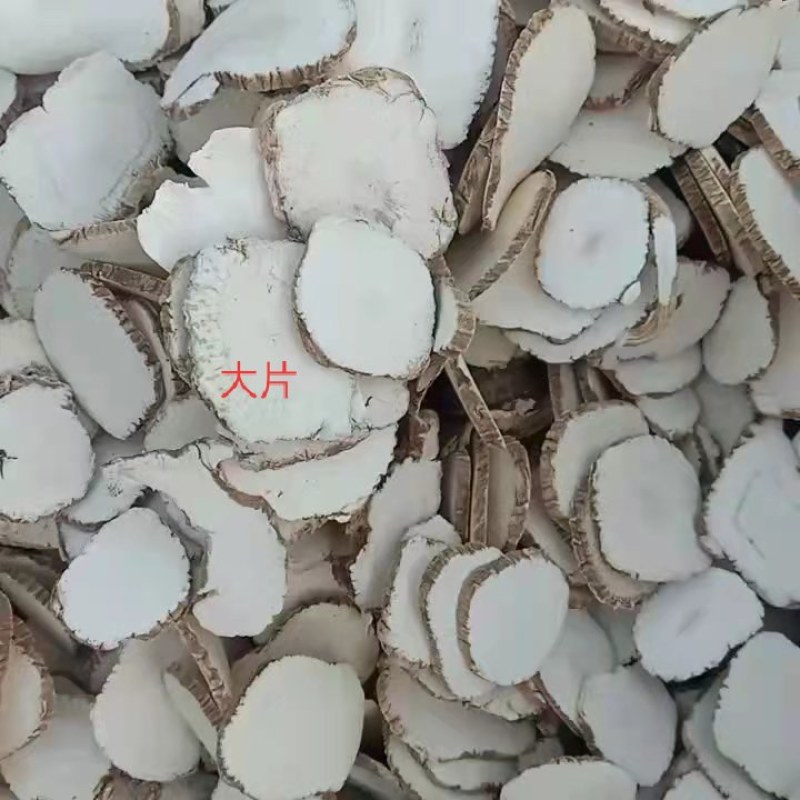 【精品】白芷药材白芷切片种植加工优质鲜切常年供货欢迎选购