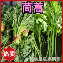 超便宜茼蒿大量供应-茼蒿菜无烂叶无黄点赶集、商超