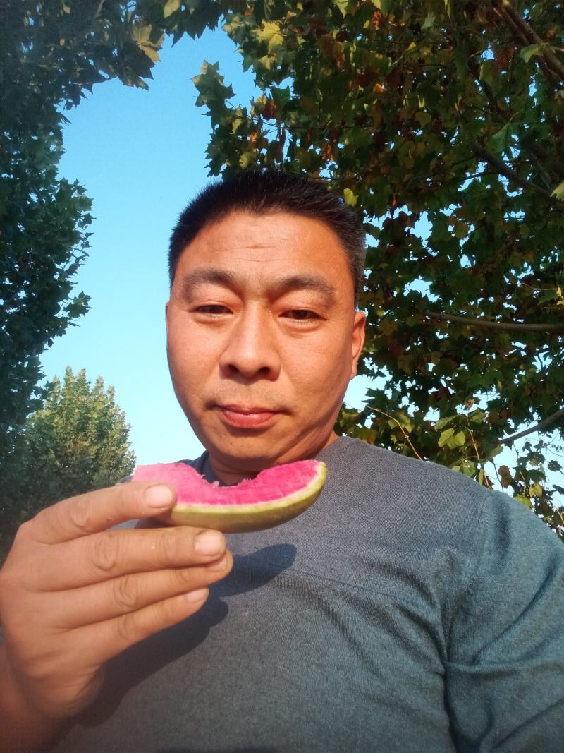 满堂红心里美萝卜大量有货，欢迎新老客户